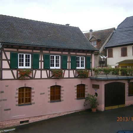 فيلا Gite Au Nid De Cigognes Dieffenthal المظهر الخارجي الصورة
