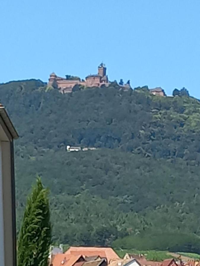 فيلا Gite Au Nid De Cigognes Dieffenthal المظهر الخارجي الصورة
