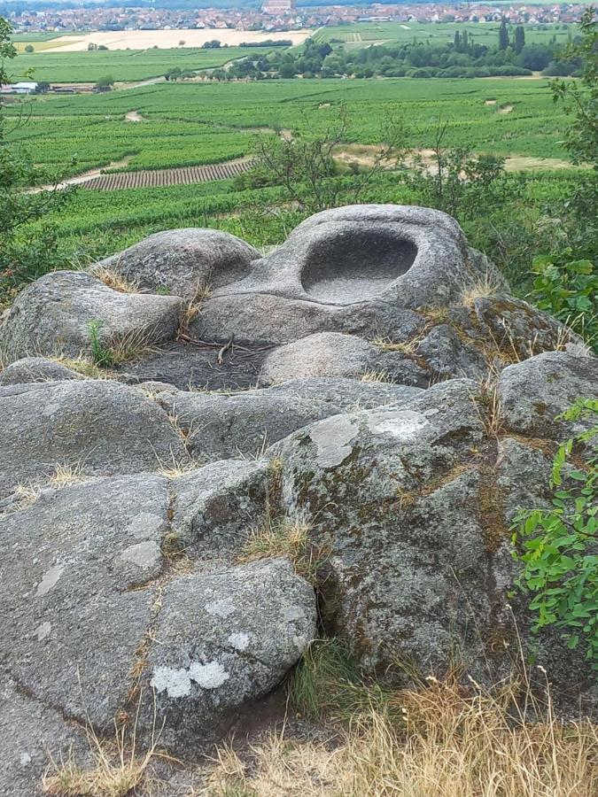 فيلا Gite Au Nid De Cigognes Dieffenthal المظهر الخارجي الصورة