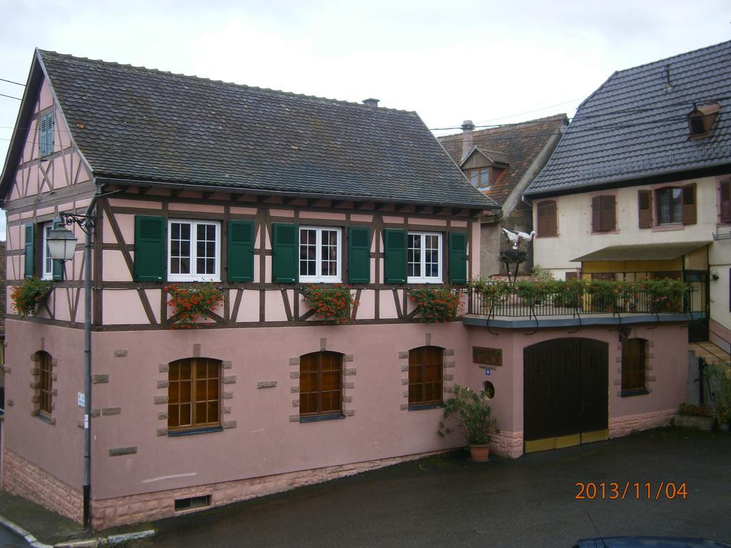 فيلا Gite Au Nid De Cigognes Dieffenthal المظهر الخارجي الصورة